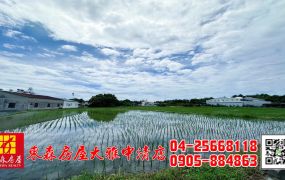 東森房屋大雅中清店-百坪方正建地