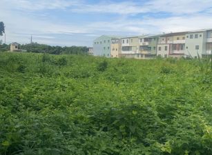 台林街尾農地16-002    05-2310186