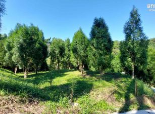 新竹縣北埔綠世界後方環溪農園2568.32坪