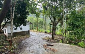 新社贈厝建地+農地大