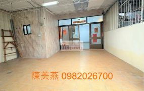 嘉義市民生南路車庫別墅