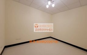 專約-新港全新裝潢美透天