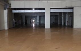 樹林市區挑高鋼構廠房(可依法廠登)