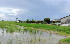 近路科交流道低總價方正農地