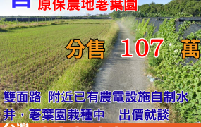 市359_森林公園旁稀有原保農地荖葉園
