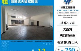龍潭透天貨梯廠房176