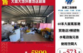 大崙大地坪農地買地送倉141