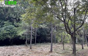 新竹縣北埔青楓塘社區型休閒土地水電齊