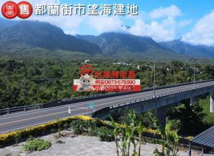 台東房地產/ 都蘭街市望海建地