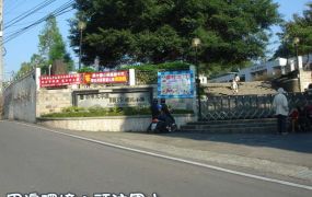 太平南國自在景觀農地