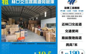 林口交流道旁挑高倉庫124