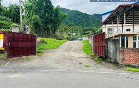 專任埔里福興溫泉旁425坪臨路6米建地