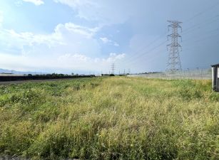 里港方正農地