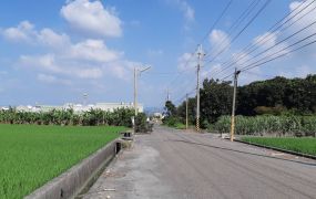 麻園工業區農地