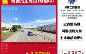 青埔方正農地(變更中)