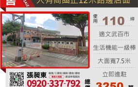 桃園大有路透天店面店地
