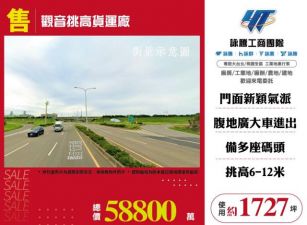 觀音挑高貨運廠房166