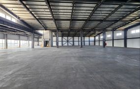 觀音正20米路旁/碼頭/挑高物流廠