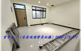 龍潭龍科園區【梅龍一街】全新整理4房車位大透天