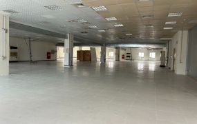 正龜山工業區鋼構廠房(可廠登)