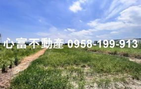 岡山成功路農地529坪