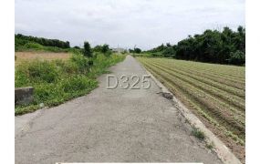 佳里近北門高中大面寬農地