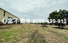 A級!!岡山嘉華產業園區農地