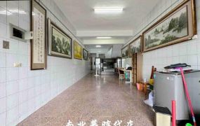 歸仁區 - 新豐高中4F黃金店面透天 - 2380萬