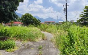 高雄區 -  六龜新威農+建地 - 568萬