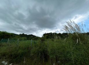 頭份大地坪(丁+丙+農)土地