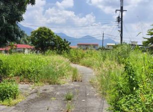 高雄區 -  六龜新威農+建地 - 568萬