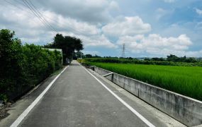 新埔近枋寮國小義民田