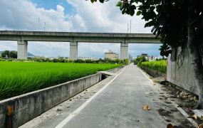 專任-新埔義民美田