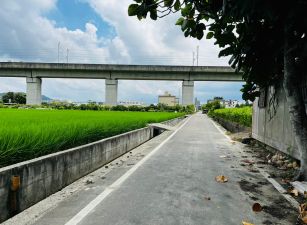 專任-新埔義民美田