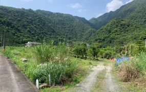 員山大湖風景區旁方正角地