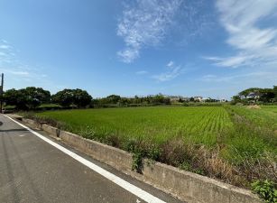 觀音忠愛莊正大路旁美田
