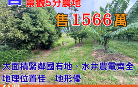 縱226_近初鹿國中縱谷景觀5分農地