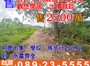 舍217_初鹿靜巷縱谷景觀悠閒居