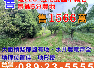 縱226_近初鹿國中縱谷景觀5分農地
