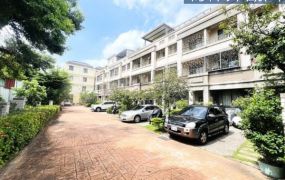 大樓價買東區震後一手屋大地坪.可停雙車別墅