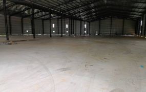 楊梅全新挑高鋼構廠房/工業地廠房買賣租賃