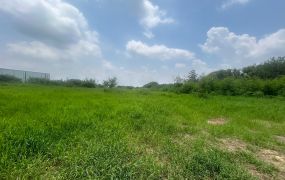 近新屋66市區超值農加建/工業地廠房買賣租賃