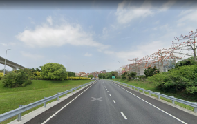 楊梅/大面寬/12米路/方正工業地