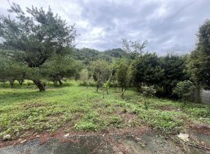 國姓近北山交流道農地