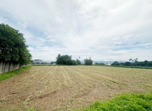 麗寶樂園方正美田