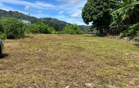 國姓交流道口甲建地農