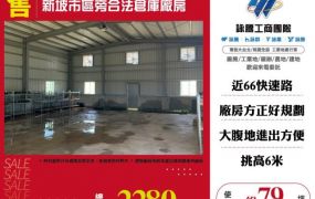 新坡市區旁合法倉庫廠房138