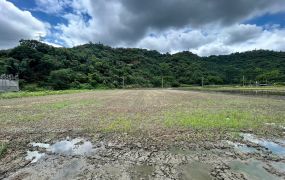 永慶許書豪★近安農溪剛好800坪足坪農地