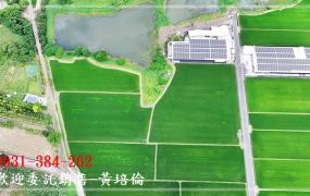 六甲龜子港11分農地H。蝸牛居0931384262