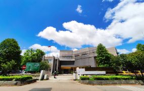 土城工業區30米路旁收租工業地